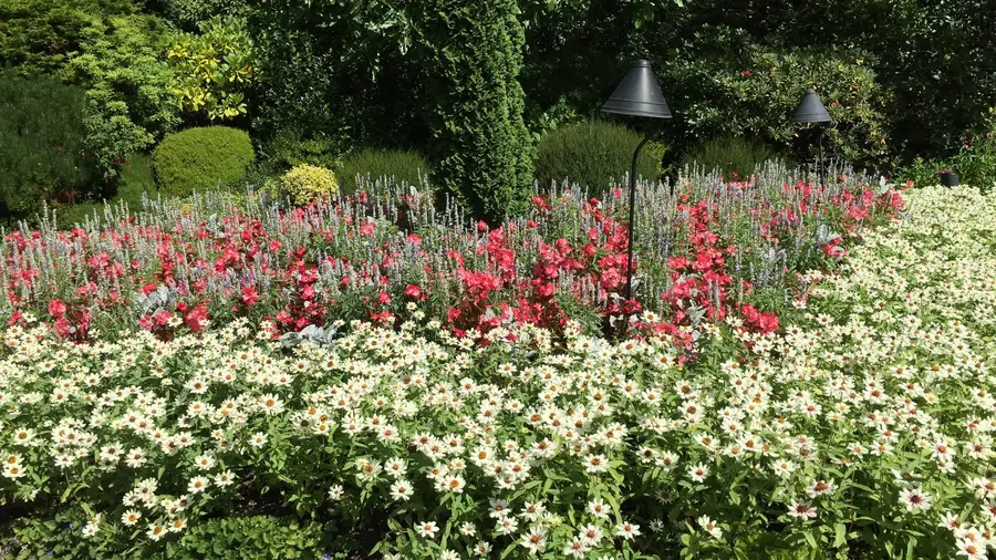 Butchard Gardens in British Columbia during late summer