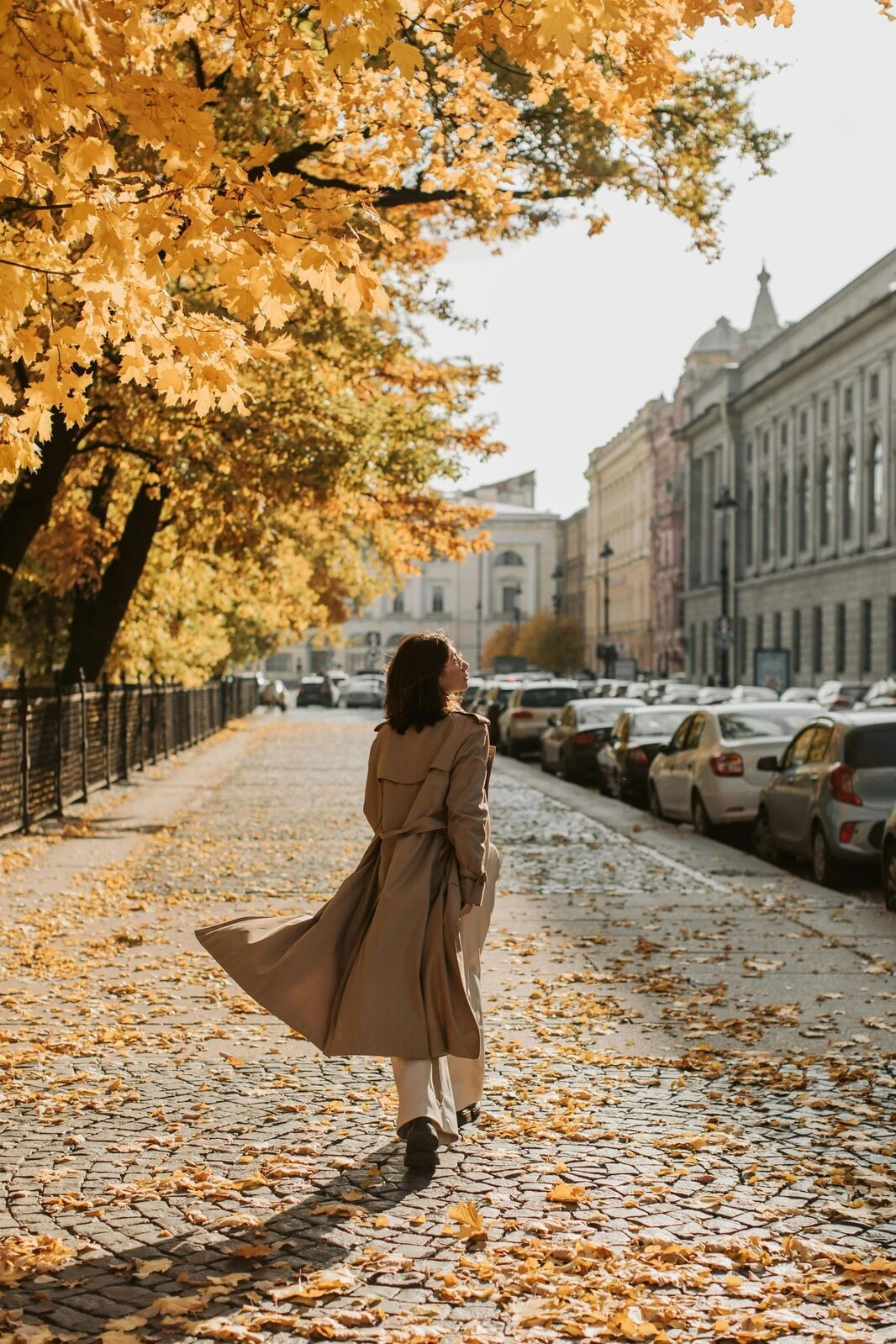 NYC central park in the fall